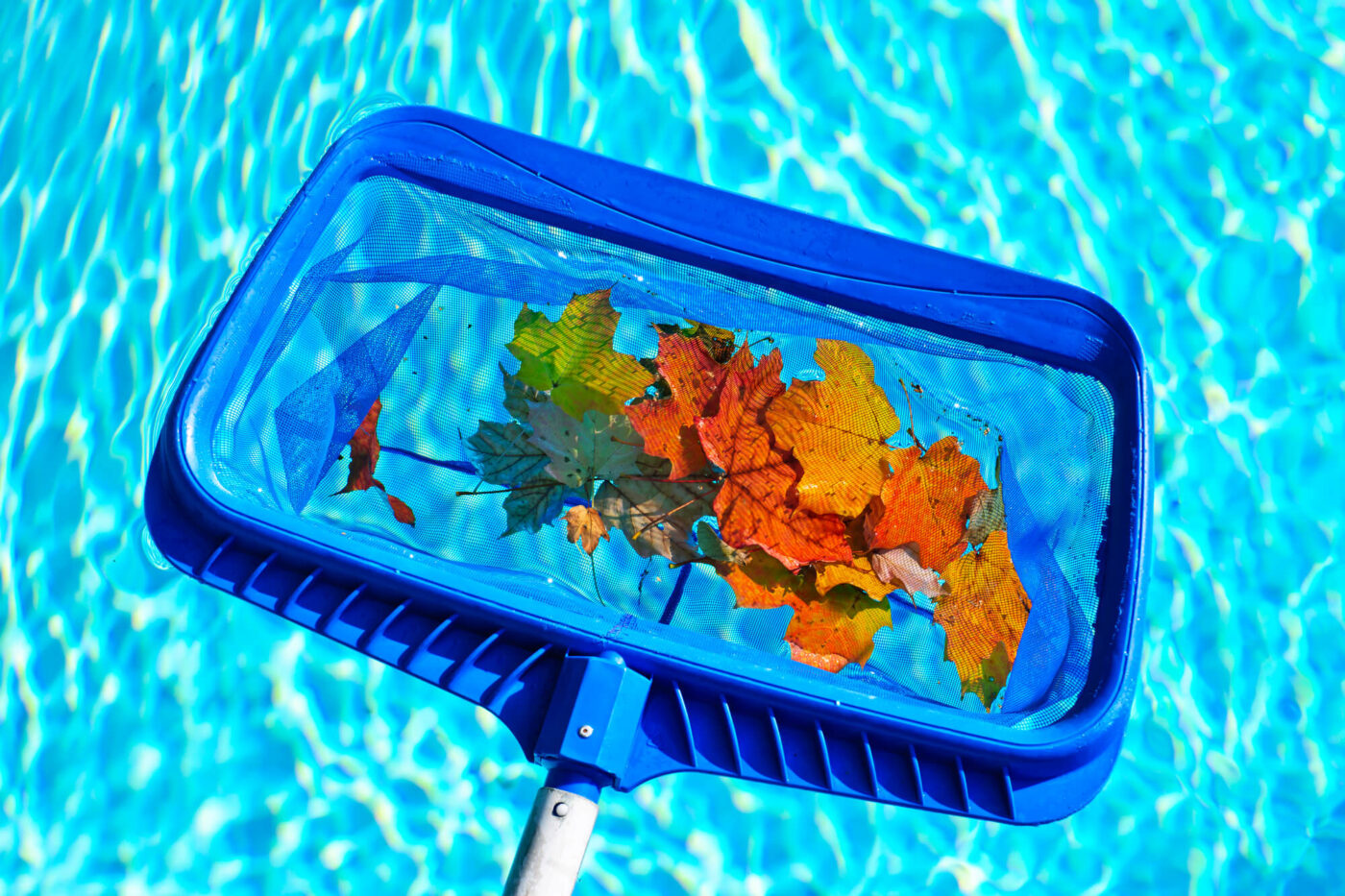 Swimming Pool Pros pool cleaning service 1 1400x933