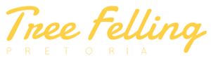 Logo 300x87