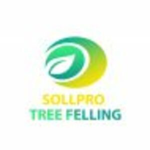 logo 300x300 6 300x300