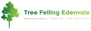 Tree Felling Edenvale Logo 300x102