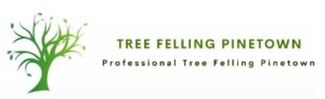 Tree Felling Pinetown 300x92