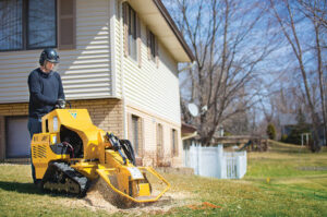 pretoria stump removal 300x199