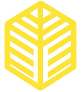 ECOSEO SEO AGENCY logo 266x300