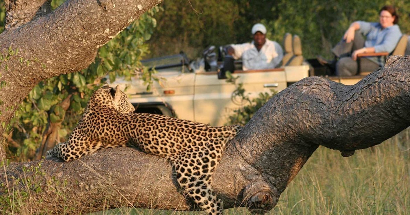 private game reserve tintswalo 1400x736